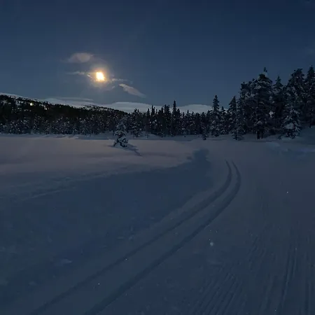 Skirvedalen - New With Panoramic Views! Holiday home