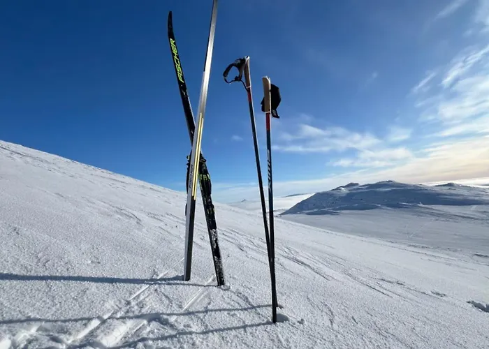 Skirvedalen - New With Panoramic Views! * Lurasgrendi
